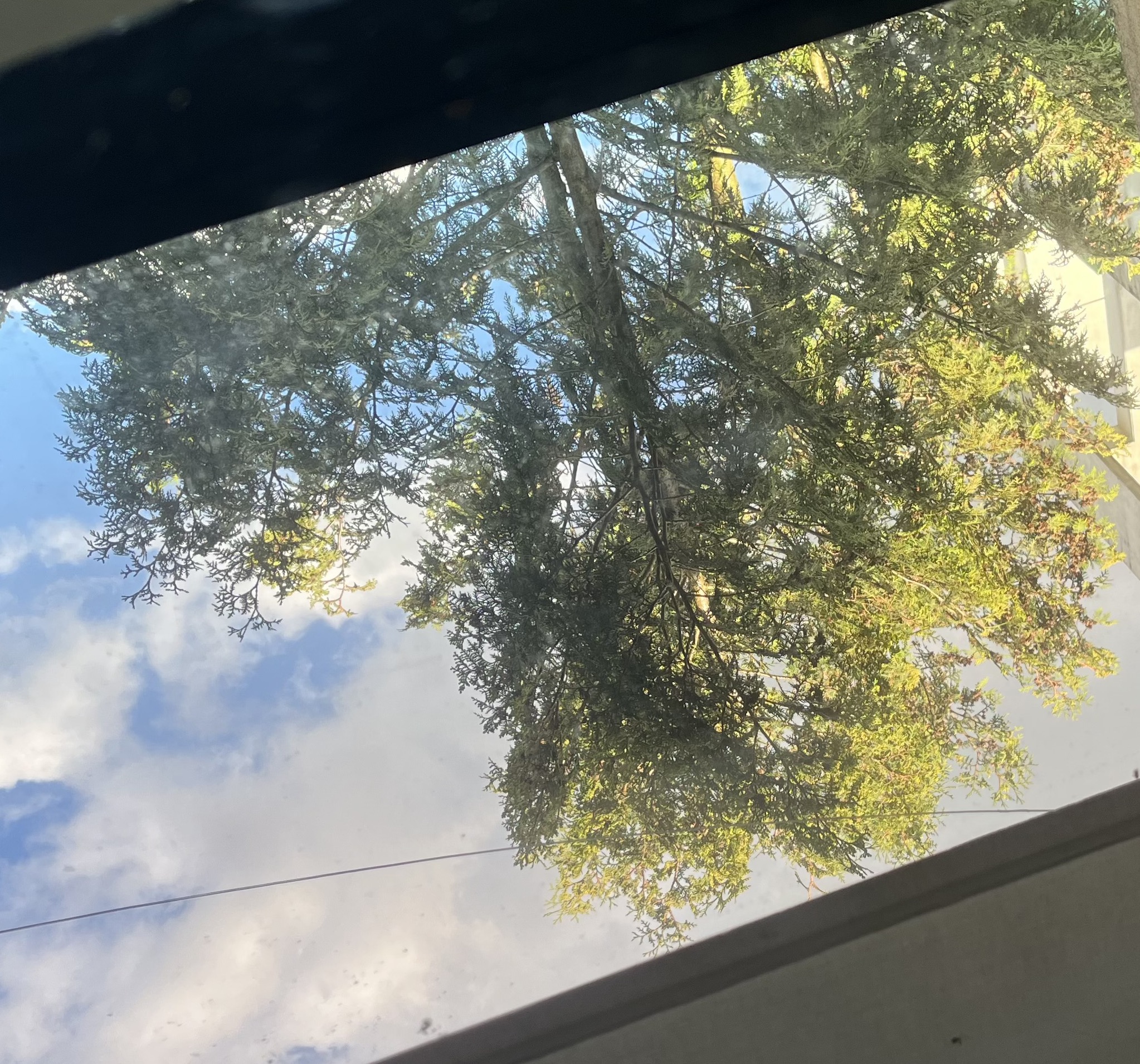 Logo for our school magazine Çizgi.