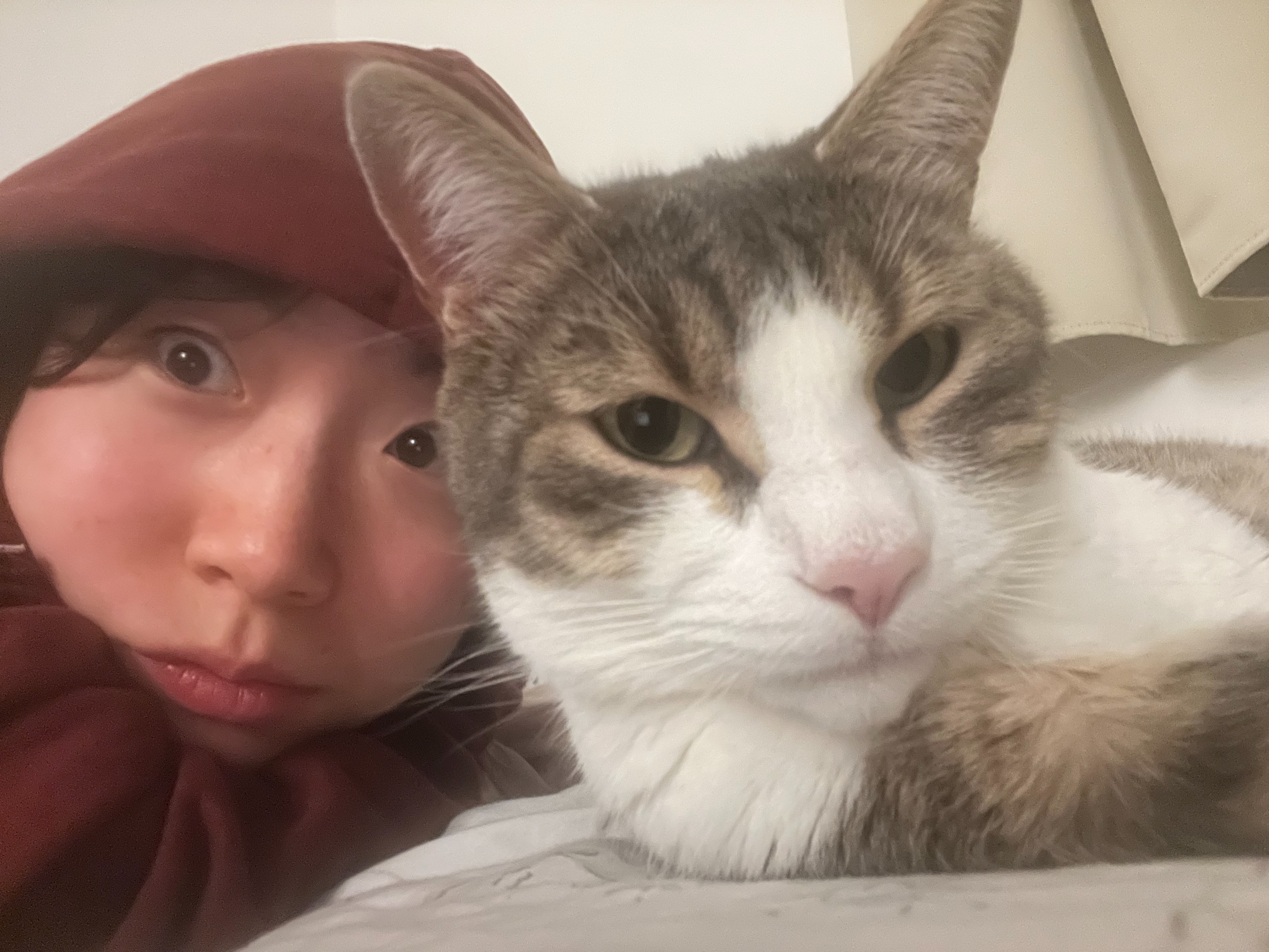 Image of a lighthouse.